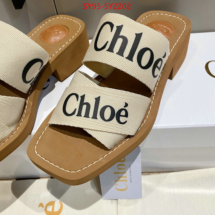 Women Shoes-Chloe the highest quality fake ID: SY2202 $: 95USD