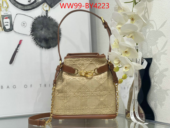 Dior Bags(4A)-Other Style- highest product quality ID: BY4223