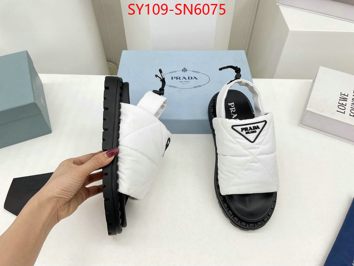 Women Shoes-Prada buy the best high quality replica ID: SN6075