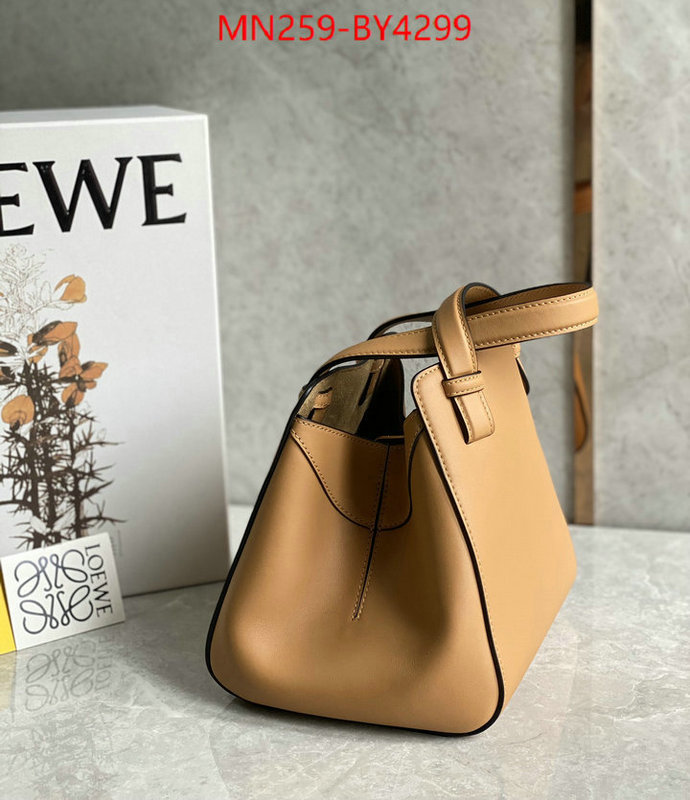 Loewe Bags(TOP)-Hammock replica shop ID: BY4299 $: 259USD