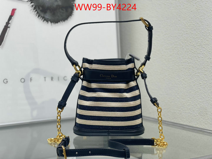 Dior Bags(4A)-Other Style- wholesale replica ID: BY4224