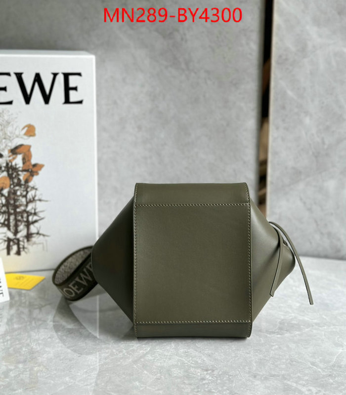 Loewe Bags(TOP)-Hammock wholesale china ID: BY4300 $: 289USD