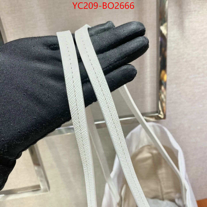 Prada Bags (TOP)-Diagonal- aaaaa replica ID: BO2666 $: 209USD