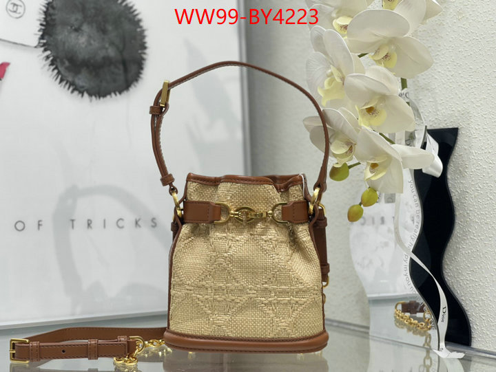 Dior Bags(4A)-Other Style- highest product quality ID: BY4223