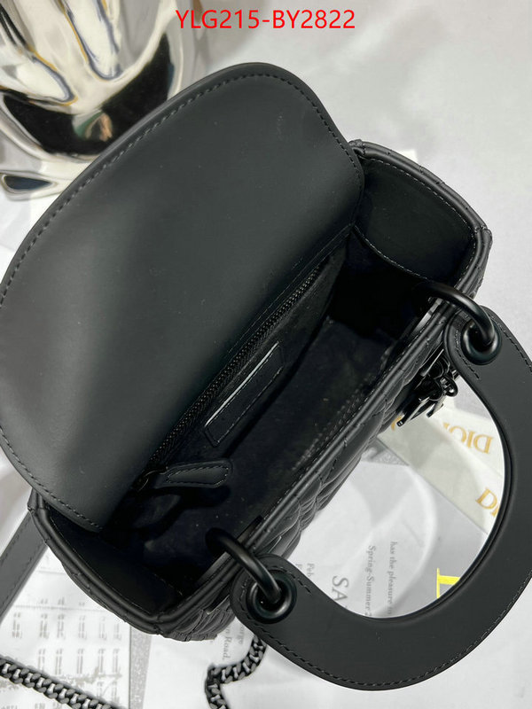 Dior Bags(TOP)-Lady- wholesale ID: BY2822