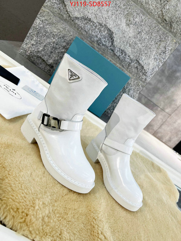 Women Shoes-Boots top quality website ID: SD8557 $: 119USD