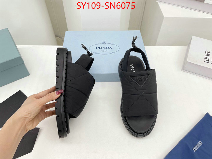 Women Shoes-Prada buy the best high quality replica ID: SN6075