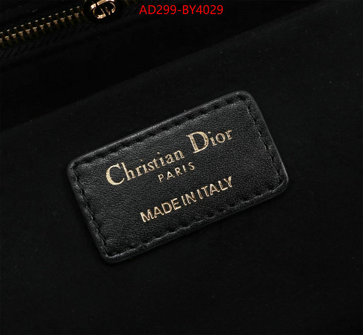 Dior Bags(TOP)-Lady- where quality designer replica ID: BY4029 $: 299USD