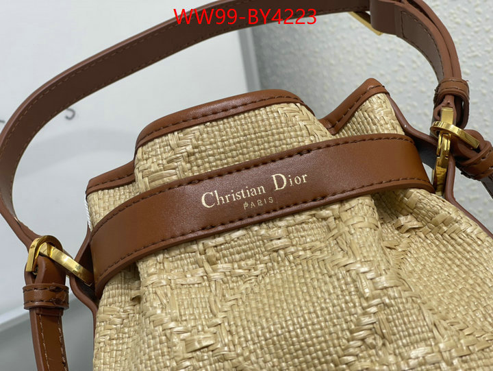 Dior Bags(4A)-Other Style- highest product quality ID: BY4223