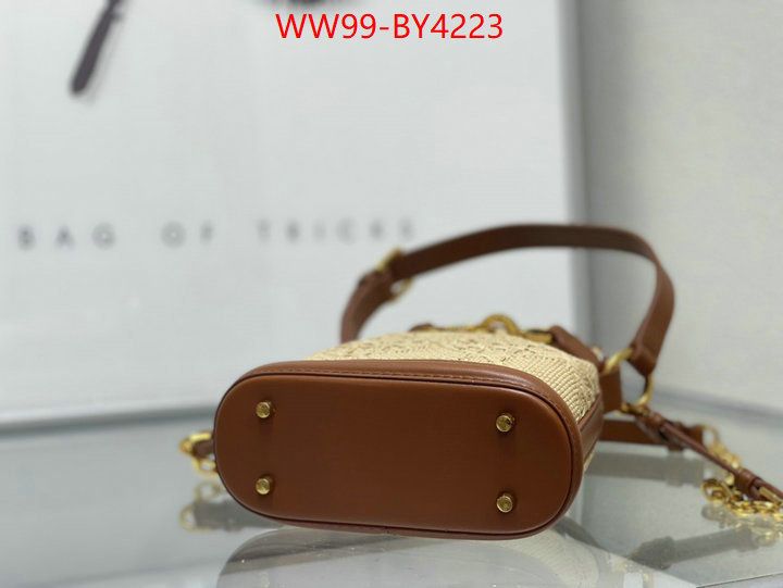 Dior Bags(4A)-Other Style- highest product quality ID: BY4223