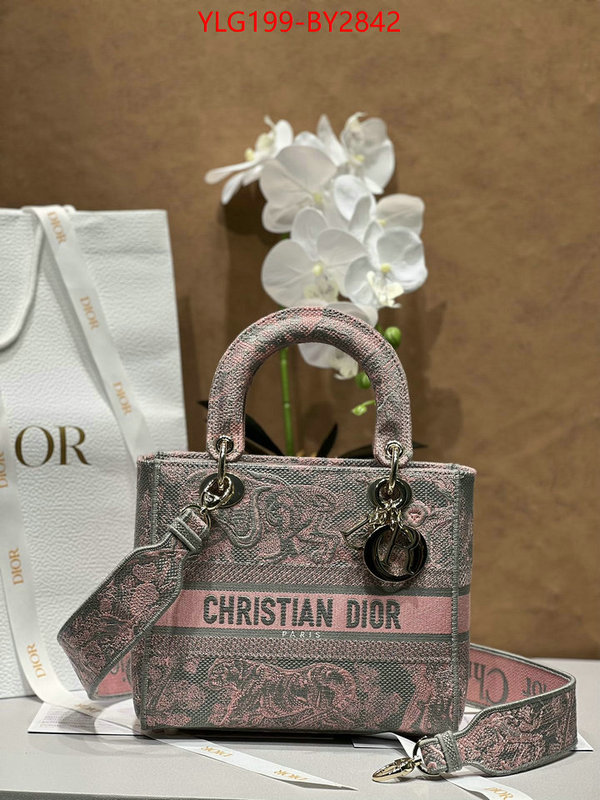 Dior Bags(TOP)-Lady- where quality designer replica ID: BY2842 $: 199USD