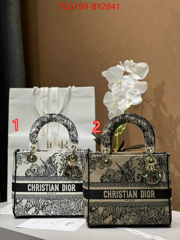 Dior Bags(TOP)-Lady- customize the best replica ID: BY2841 $: 199USD