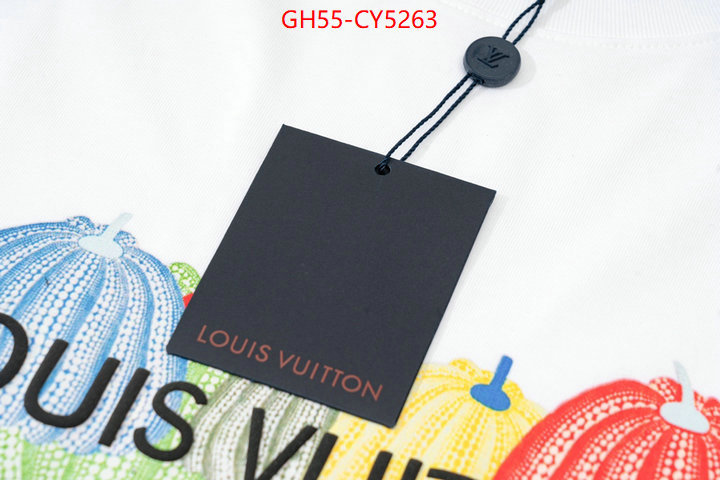 Clothing-LV store ID: CY5263 $: 55USD