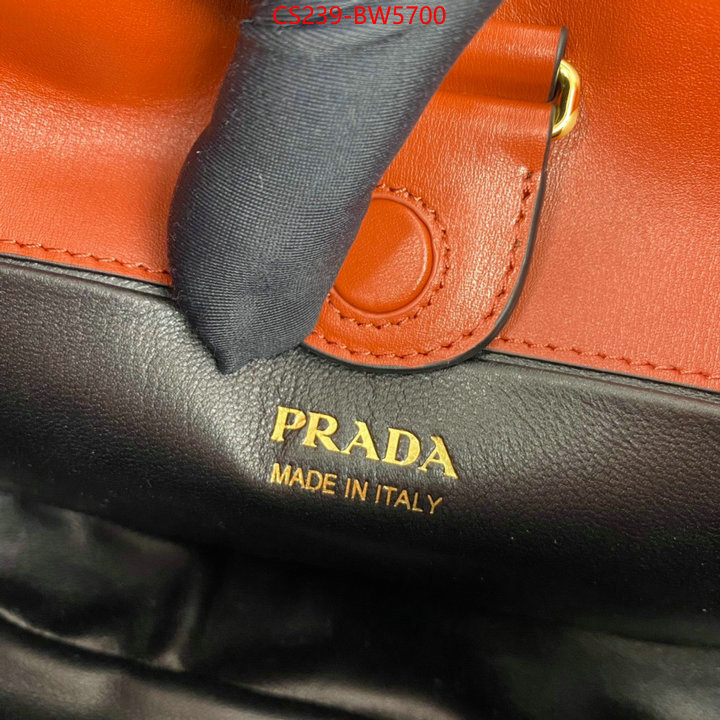 Prada Bags (TOP)-Cleo wholesale designer shop ID: BW5700 $: 239USD