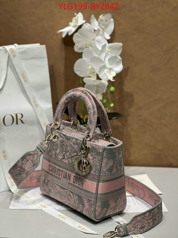 Dior Bags(TOP)-Lady- where quality designer replica ID: BY2842 $: 199USD