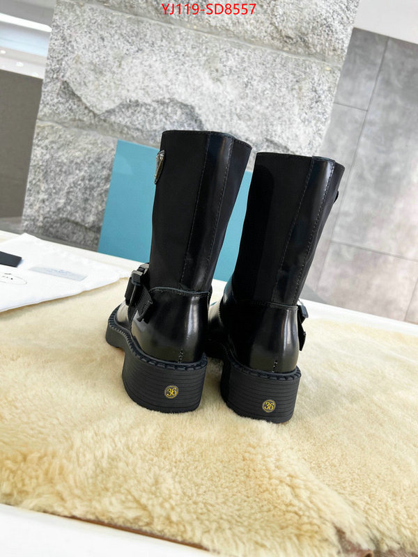 Women Shoes-Boots top quality website ID: SD8557 $: 119USD