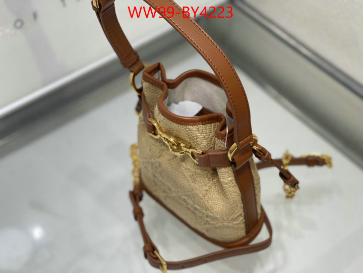 Dior Bags(4A)-Other Style- highest product quality ID: BY4223