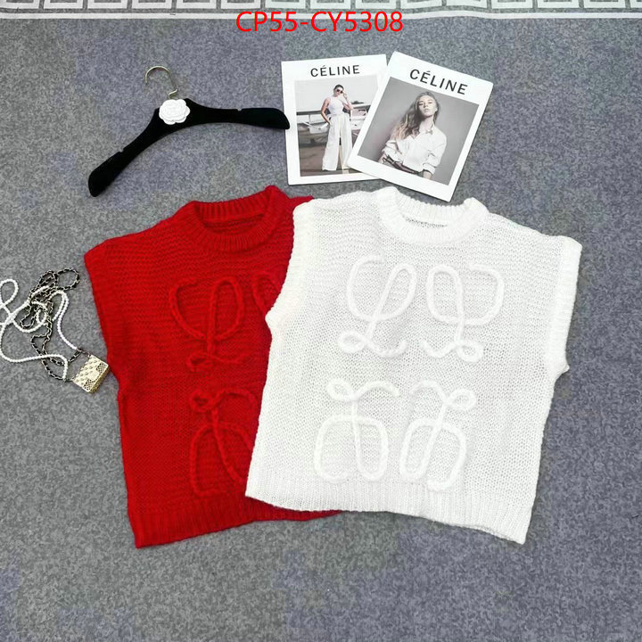 Clothing-Loewe fashion designer ID: CY5308 $: 55USD