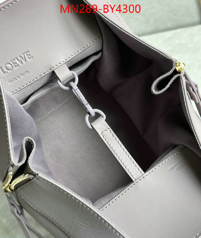 Loewe Bags(TOP)-Hammock wholesale china ID: BY4300 $: 289USD