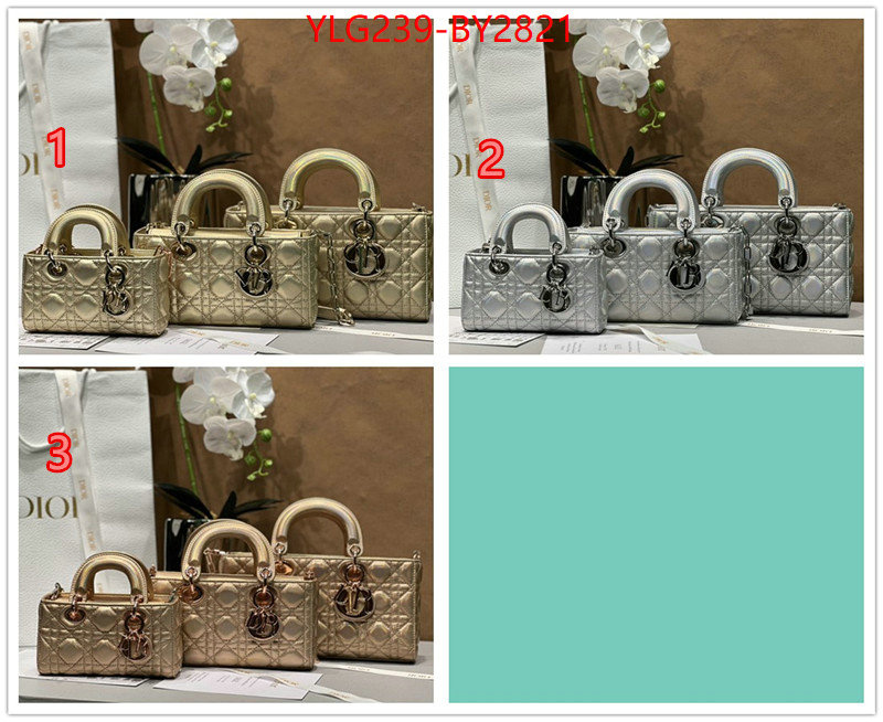 Dior Bags(TOP)-Lady- online sales ID: BY2821