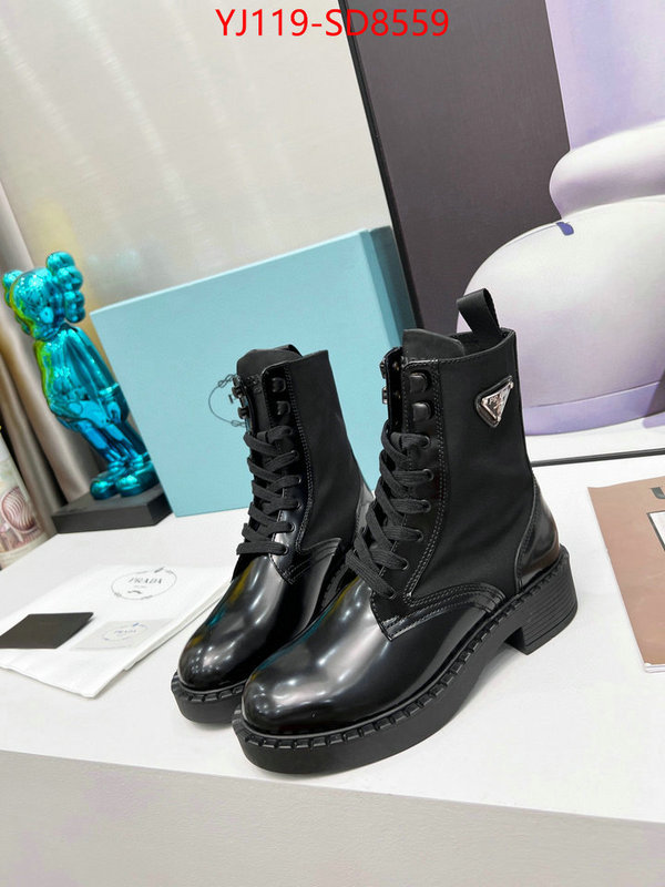 Women Shoes-Prada wholesale imitation designer replicas ID: SD8559 $: 119USD