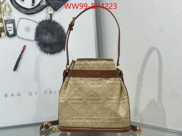 Dior Bags(4A)-Other Style- highest product quality ID: BY4223