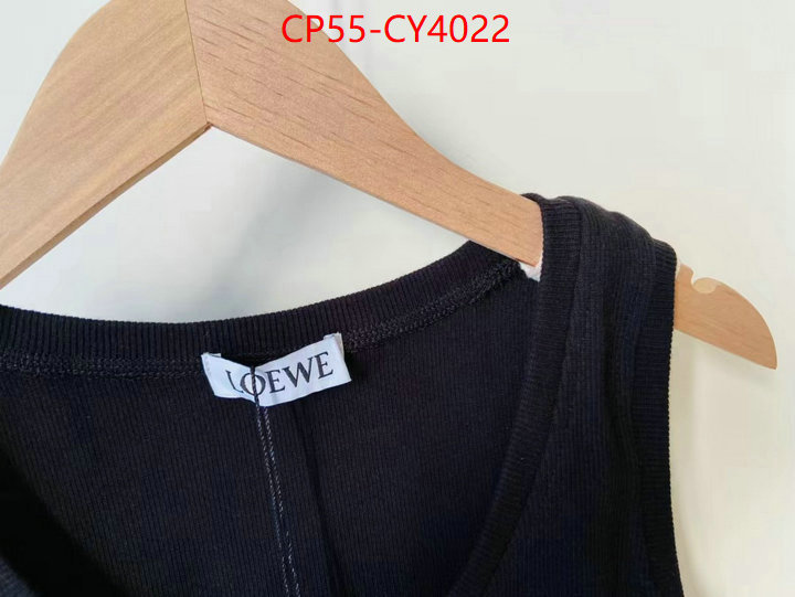 Clothing-Loewe what is aaaaa quality ID: CY4022 $: 55USD