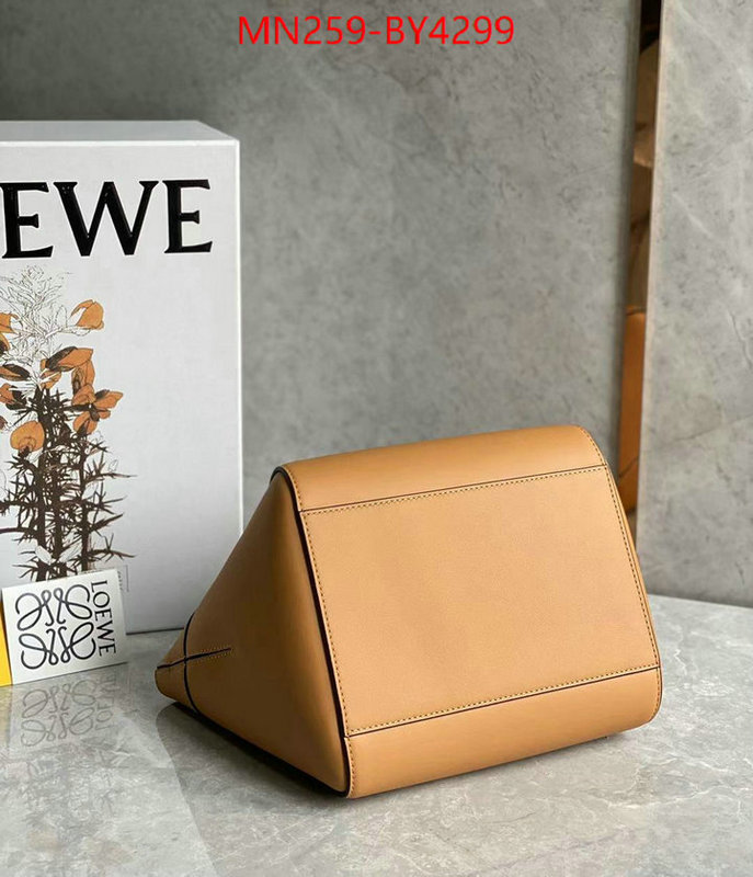 Loewe Bags(TOP)-Hammock replica shop ID: BY4299 $: 259USD