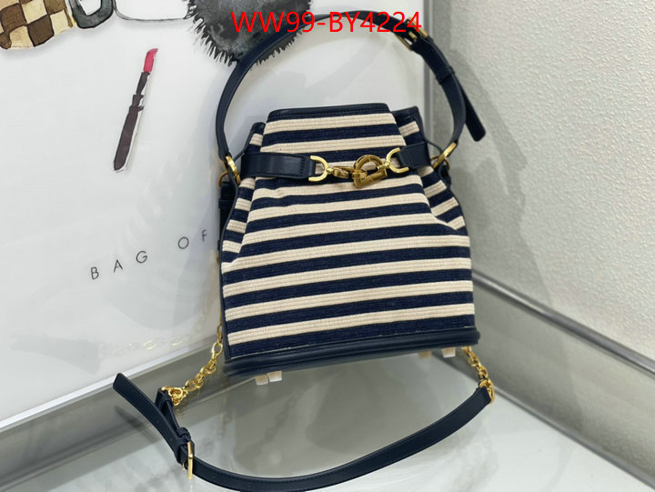 Dior Bags(4A)-Other Style- wholesale replica ID: BY4224