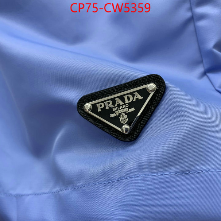 Clothing-Prada 2023 perfect replica designer ID: CW5359 $: 75USD