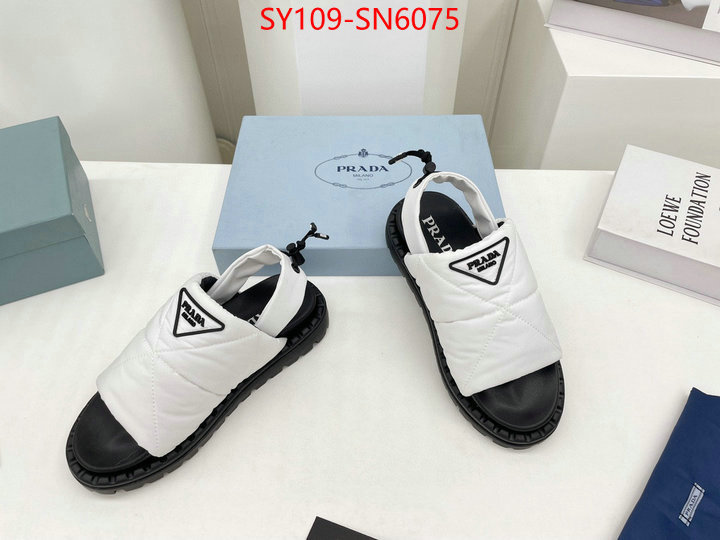Women Shoes-Prada buy the best high quality replica ID: SN6075