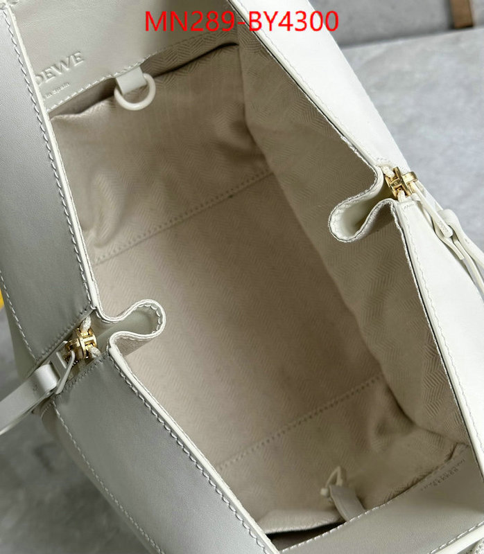 Loewe Bags(TOP)-Hammock wholesale china ID: BY4300 $: 289USD