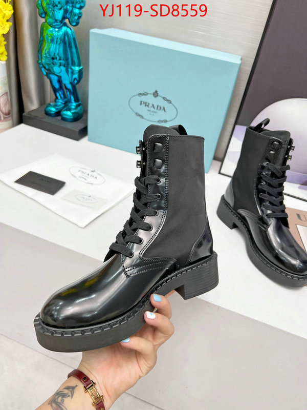 Women Shoes-Prada wholesale imitation designer replicas ID: SD8559 $: 119USD