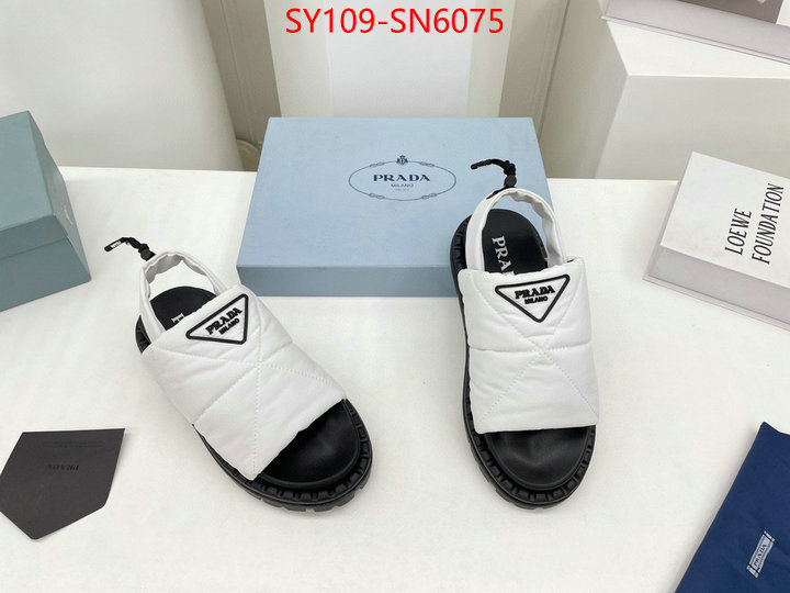 Women Shoes-Prada buy the best high quality replica ID: SN6075