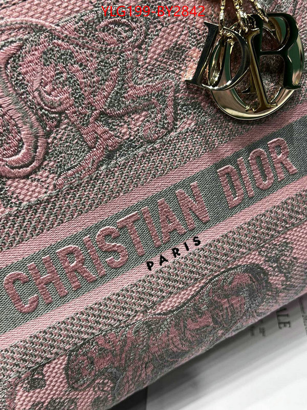 Dior Bags(TOP)-Lady- where quality designer replica ID: BY2842 $: 199USD