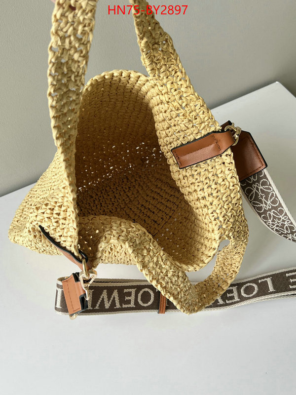 Loewe Bags(4A)-Handbag- what ID: BY2897 $: 75USD