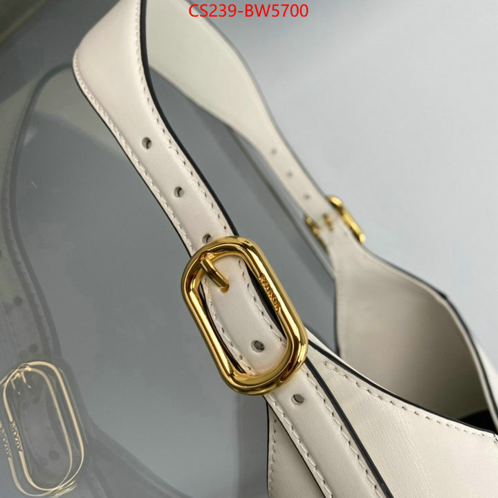 Prada Bags (TOP)-Cleo wholesale designer shop ID: BW5700 $: 239USD