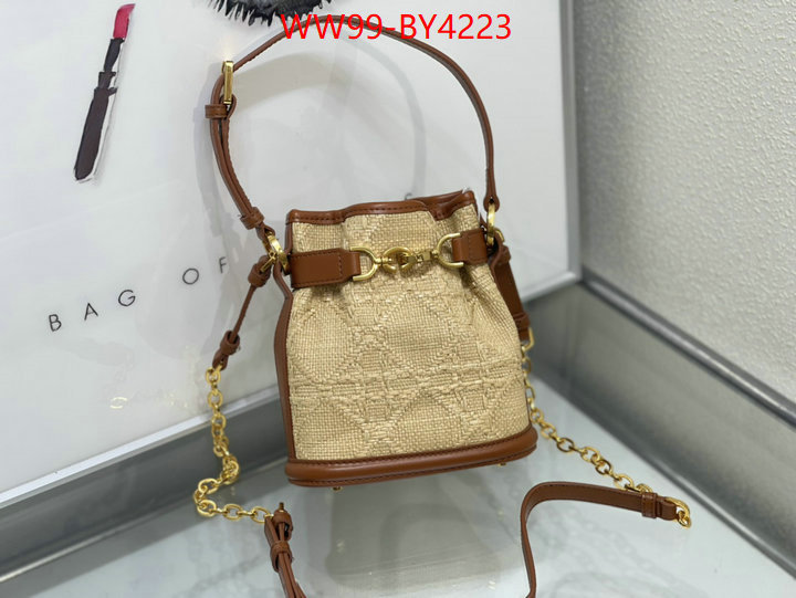 Dior Bags(4A)-Other Style- highest product quality ID: BY4223