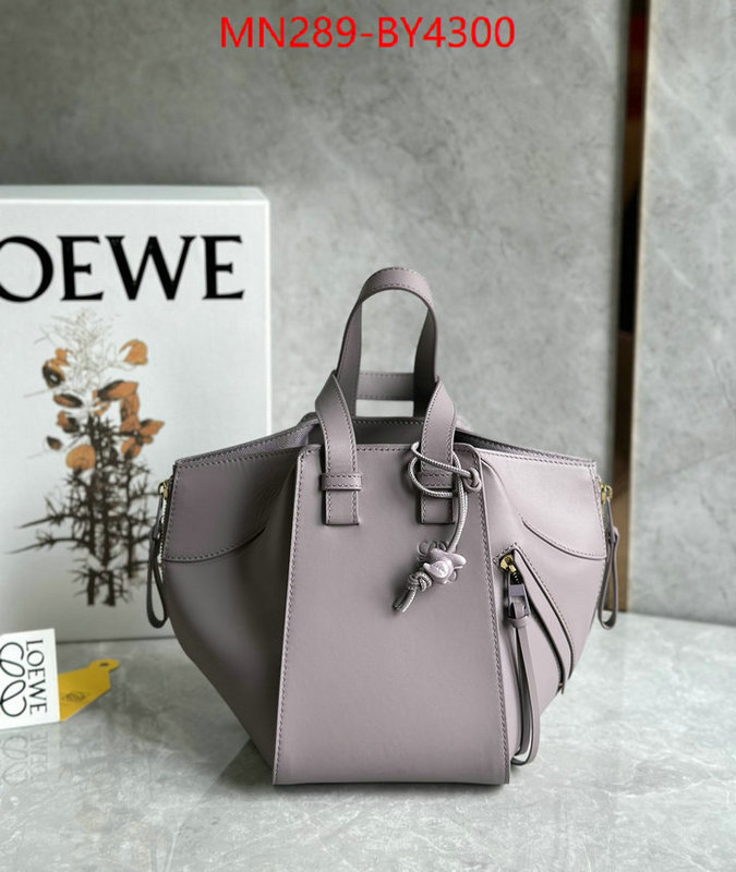 Loewe Bags(TOP)-Hammock wholesale china ID: BY4300 $: 289USD