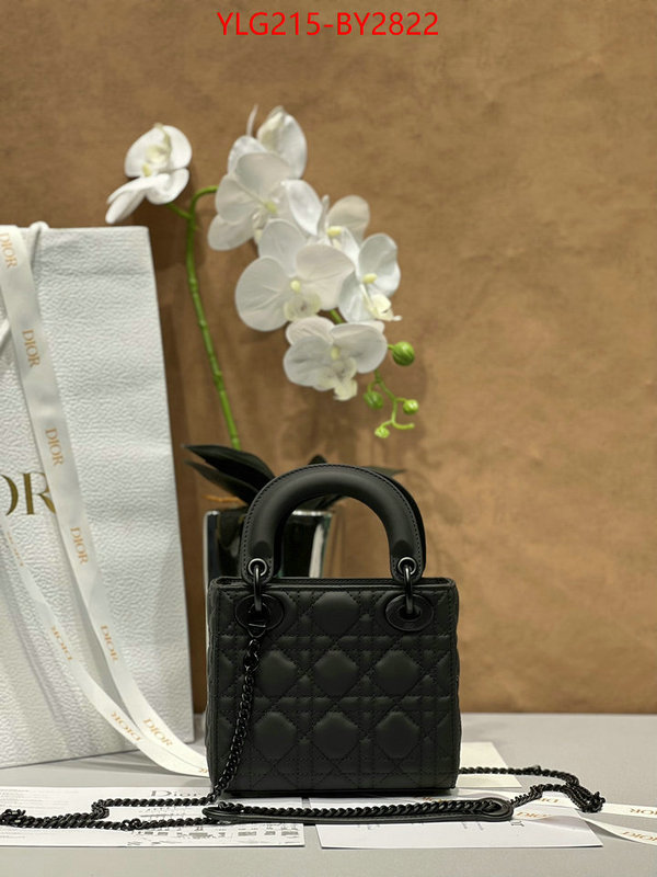 Dior Bags(TOP)-Lady- wholesale ID: BY2822
