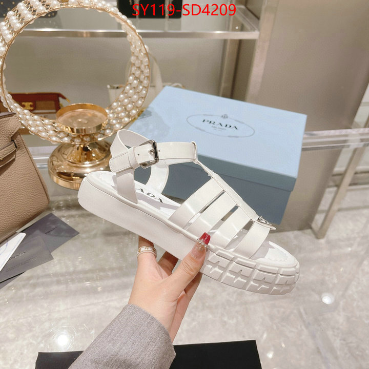 Women Shoes-Prada buy online ID: SD4209 $: 119USD