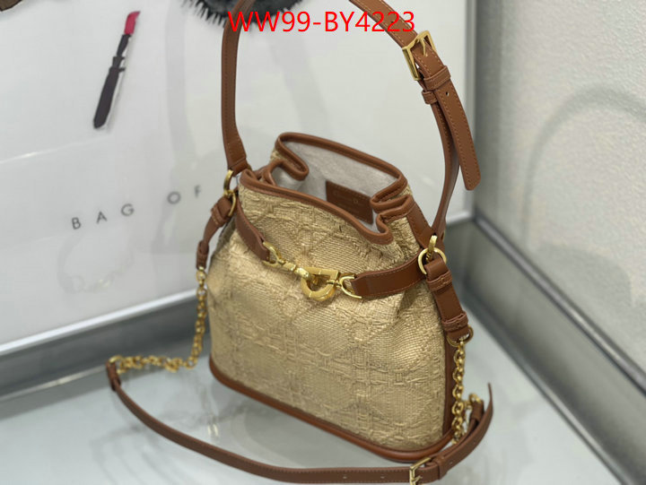 Dior Bags(4A)-Other Style- highest product quality ID: BY4223