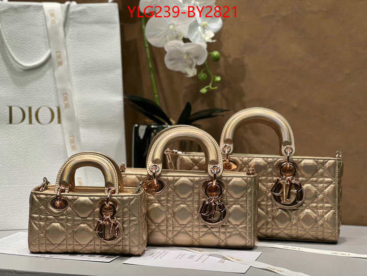 Dior Bags(TOP)-Lady- online sales ID: BY2821