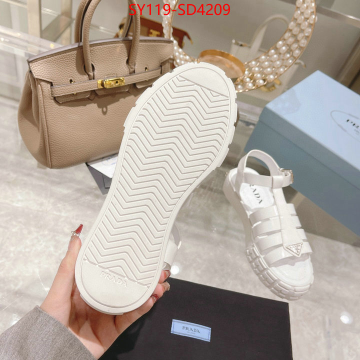 Women Shoes-Prada buy online ID: SD4209 $: 119USD