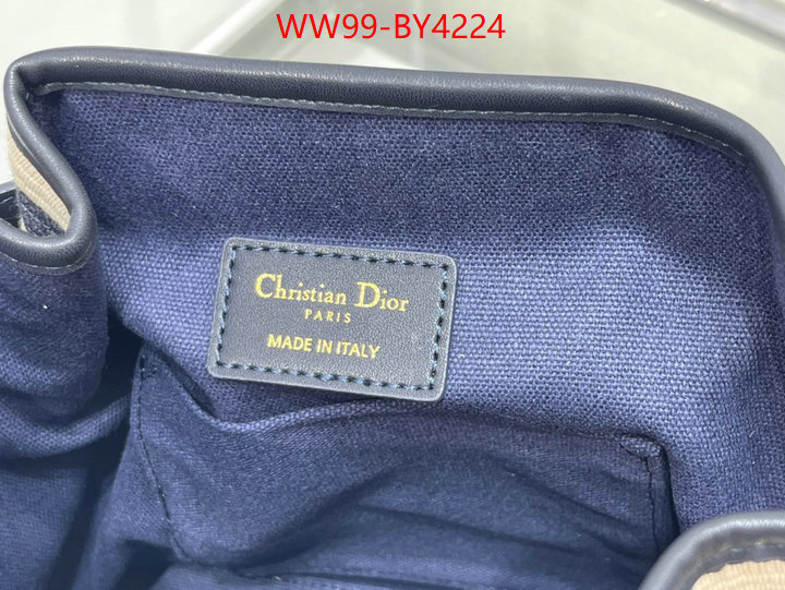 Dior Bags(4A)-Other Style- wholesale replica ID: BY4224