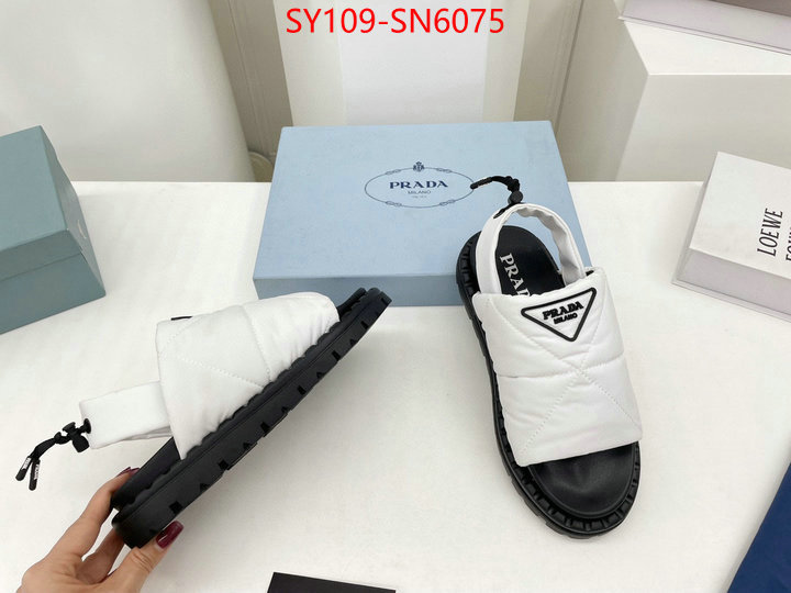 Women Shoes-Prada buy the best high quality replica ID: SN6075