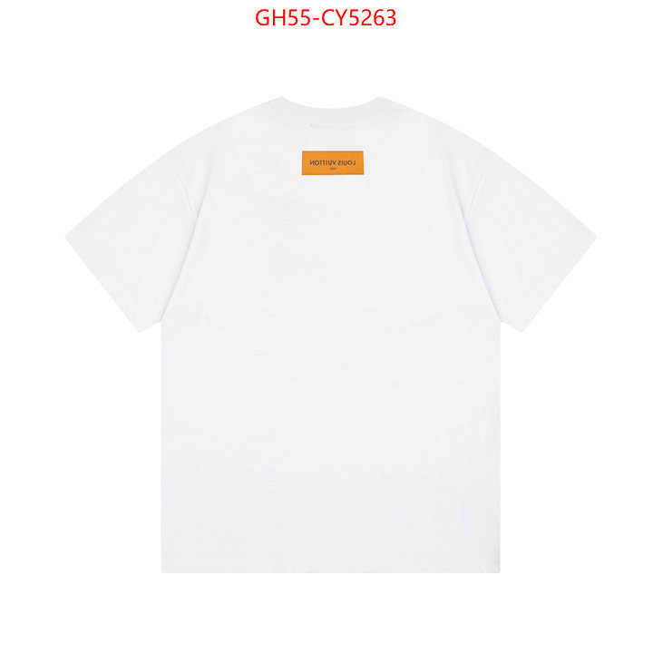 Clothing-LV store ID: CY5263 $: 55USD