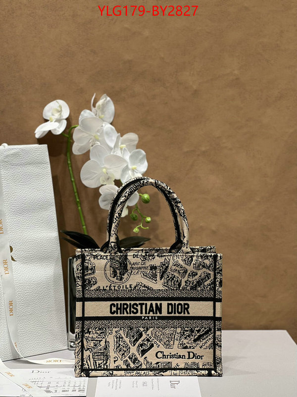 Dior Bags(TOP)-Book Tote- wholesale sale ID: BY2827