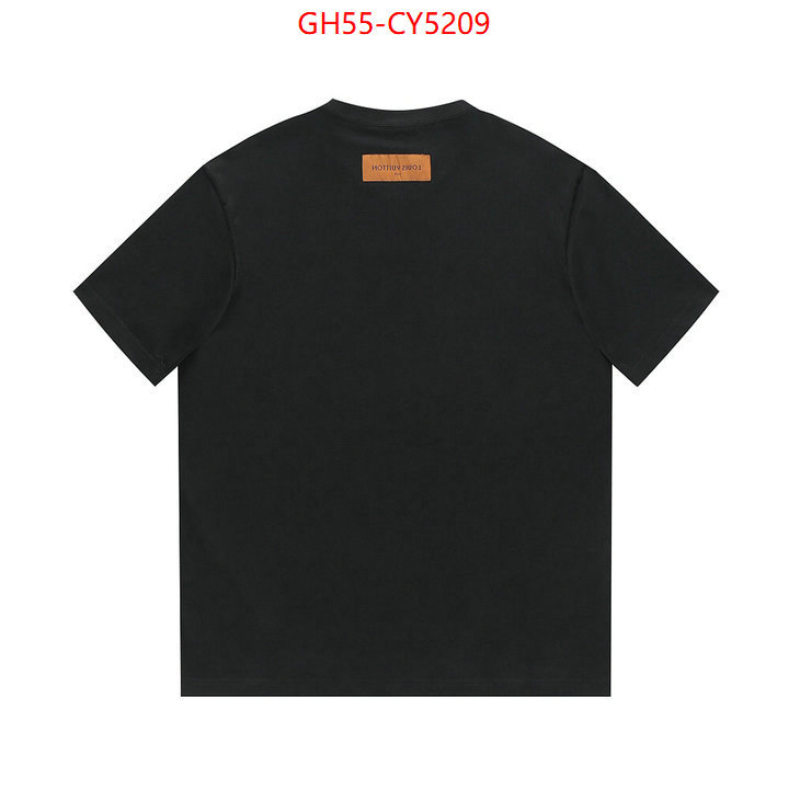 Clothing-LV aaaaa+ replica ID: CY5209 $: 55USD