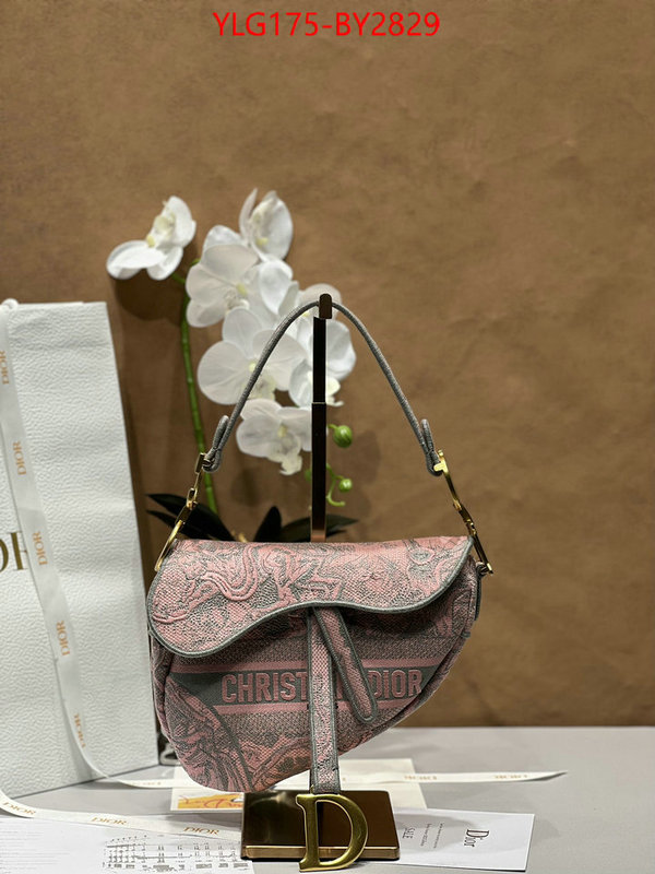 Dior Bags(TOP)-Saddle- buy aaaaa cheap ID: BY2829 $: 175USD